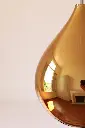 265 ORCH Zoom Off.webp