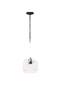 COLOSSEO Transparent éteinte.webp