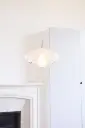 Fantasia TR Strie Situ SwitchOn.webp